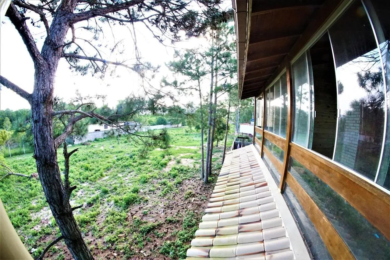 ホテルSurf Skate Konig House フロリアノポリス ゲストハウス